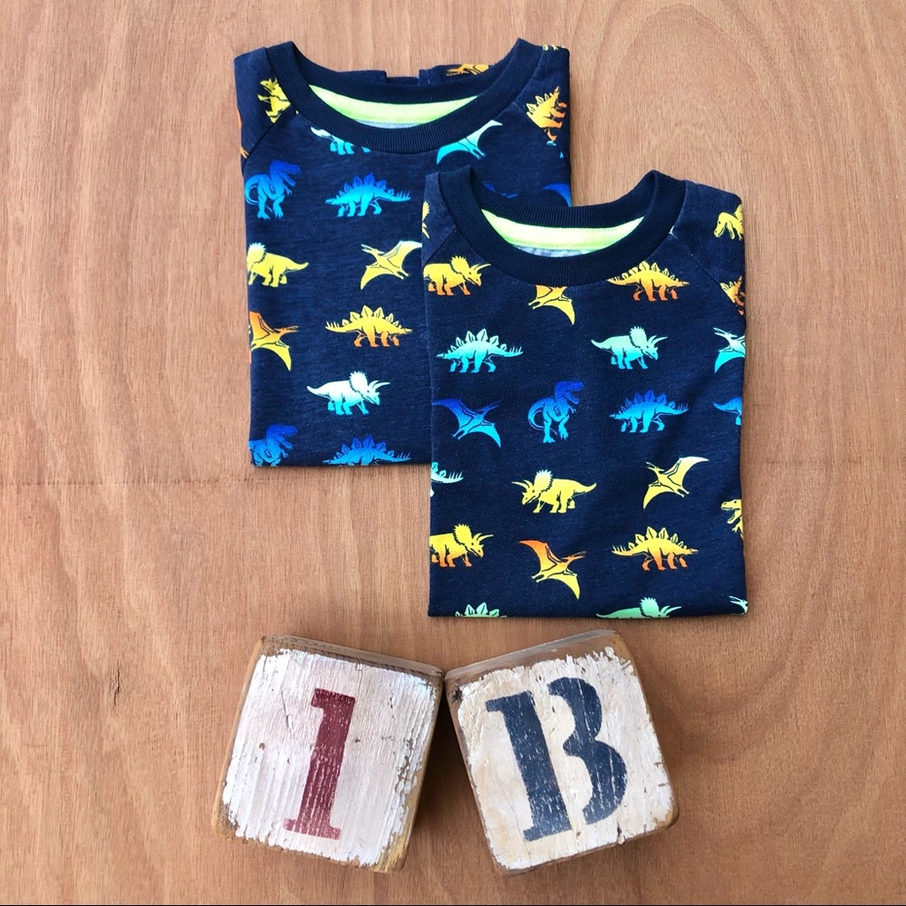 Garanimals Twin Boys Dinosaur Tee Shirt Lot size 6